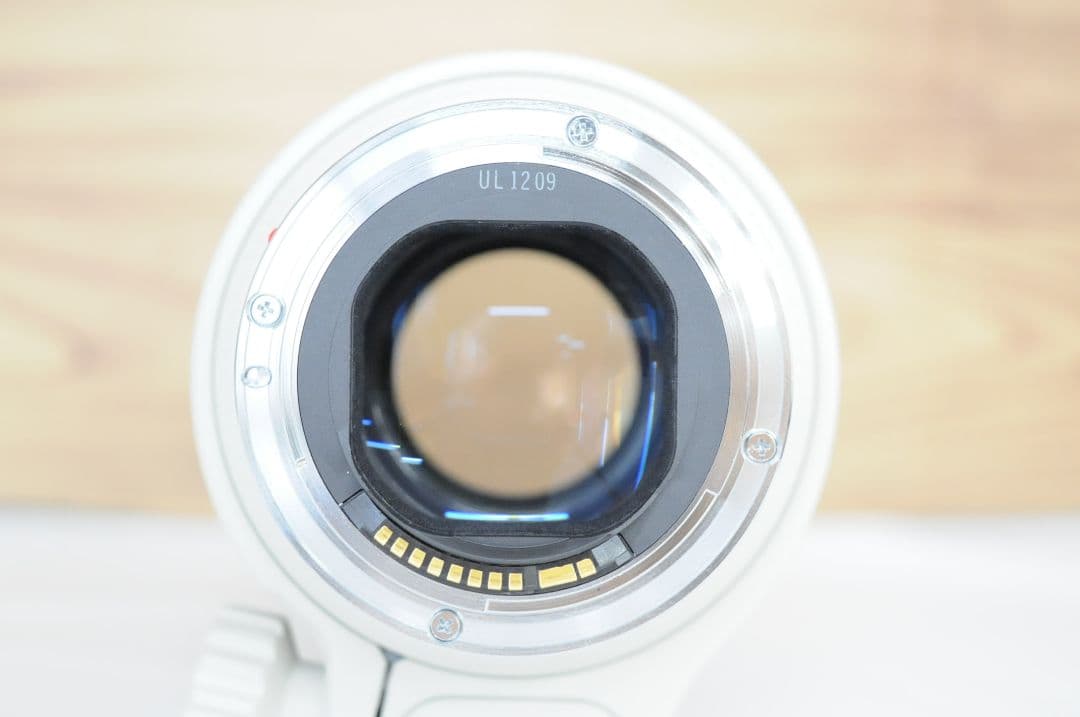 【ジャンク品】Canon EF 70-200mm F2.8 L USM 望遠