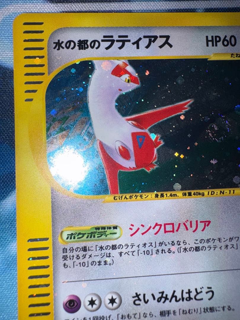 確認用（購入された場合ウォンバットのお写真送ります）