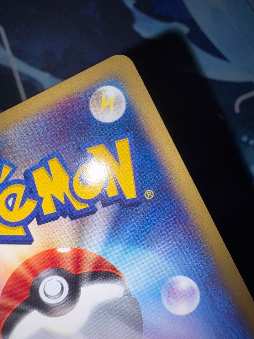 確認用（購入された場合ウォンバットのお写真送ります）