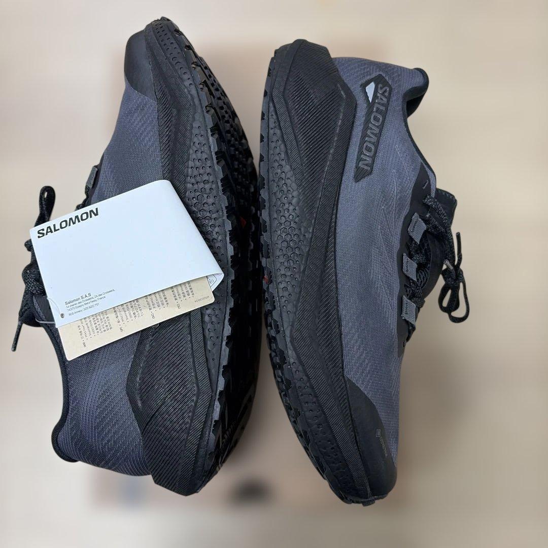 SALOMON ゴアテックスウィンターシューズ