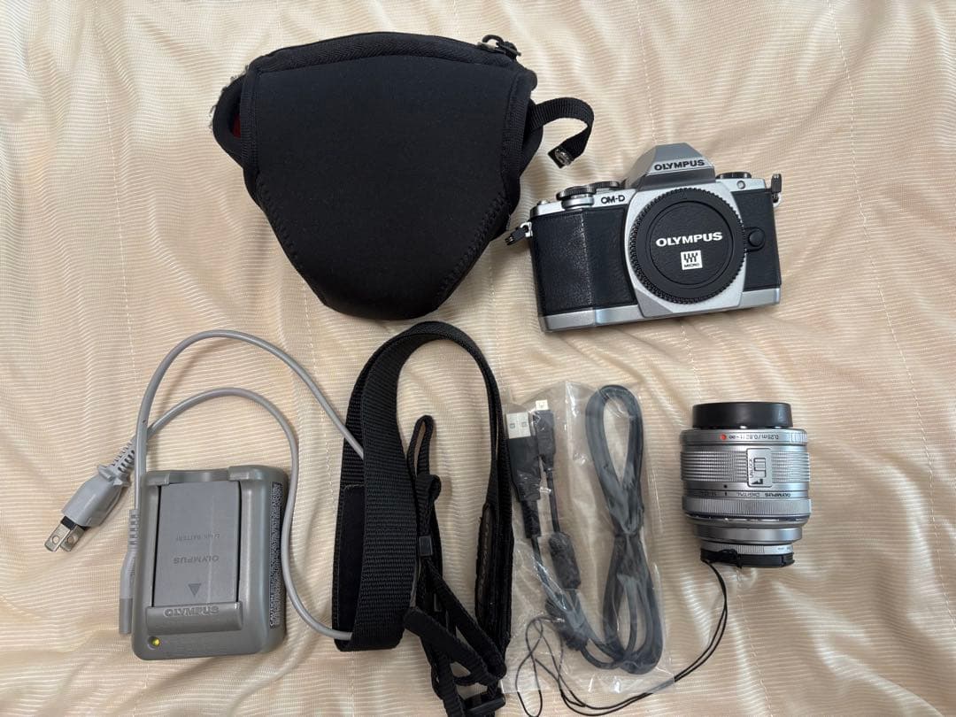 【美品】OLYMPUS OM-D E-M10 シルバー ミラーレスカメラ