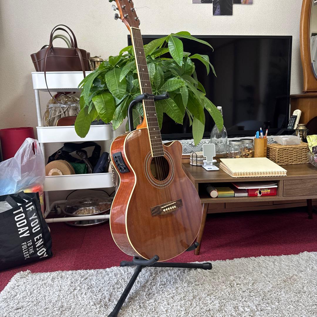 アコースティックギター マホガニー 6弦