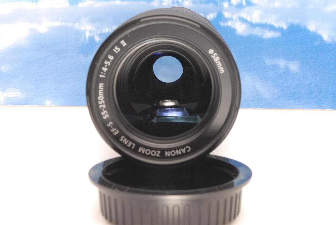 ✨美品✨望遠 手振れ補正 EF-S 55-250mm 1:4-5.6 IS Ⅱ