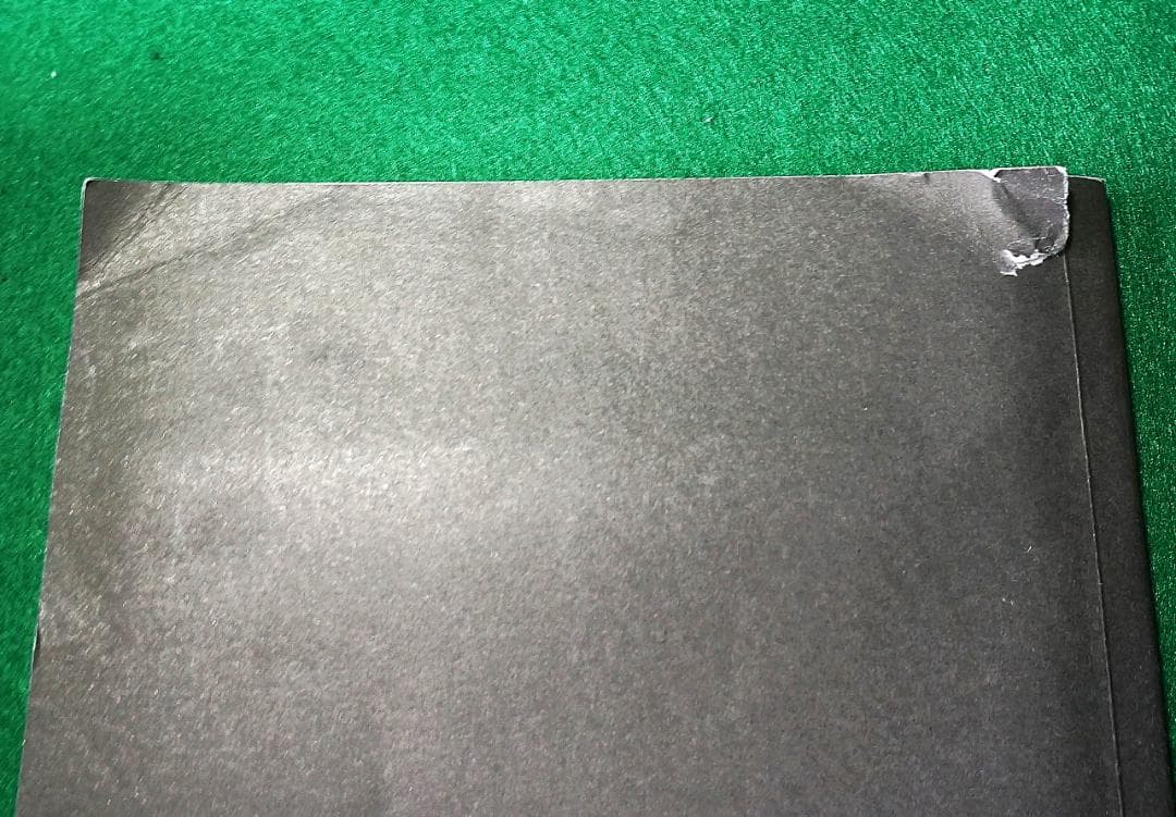 KING JIM デジタルメモ DM30 本体と取扱説明書