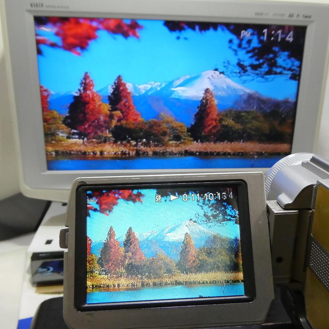 動作品 ソニーDCR-TRV20 MiniDV ビデオカメラDVDダビングに最適