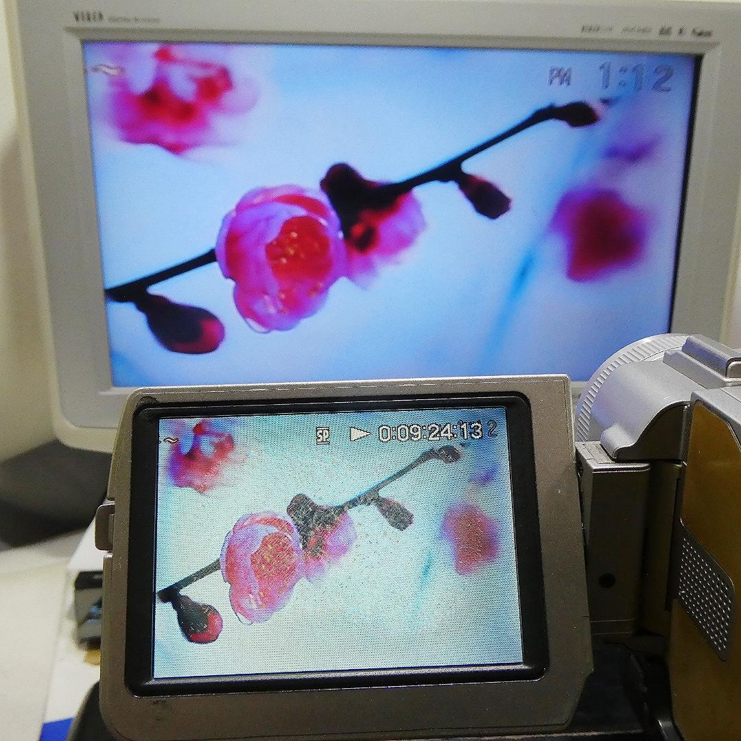 動作品 ソニーDCR-TRV20 MiniDV ビデオカメラDVDダビングに最適