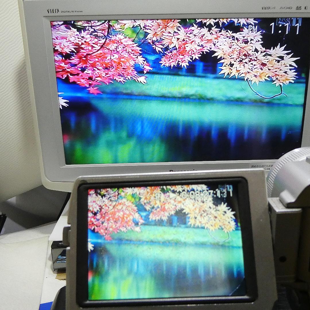 動作品 ソニーDCR-TRV20 MiniDV ビデオカメラDVDダビングに最適