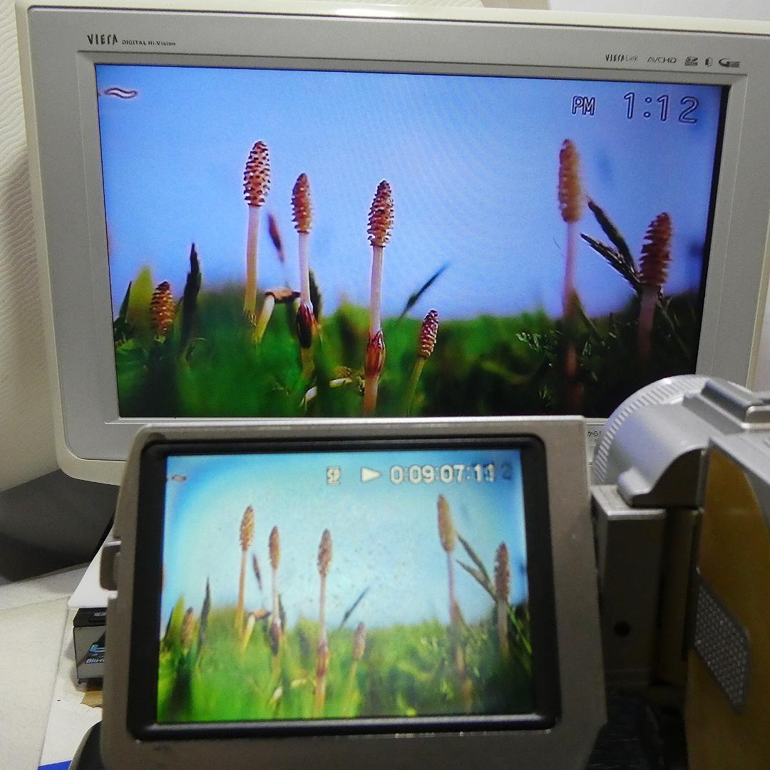 動作品 ソニーDCR-TRV20 MiniDV ビデオカメラDVDダビングに最適