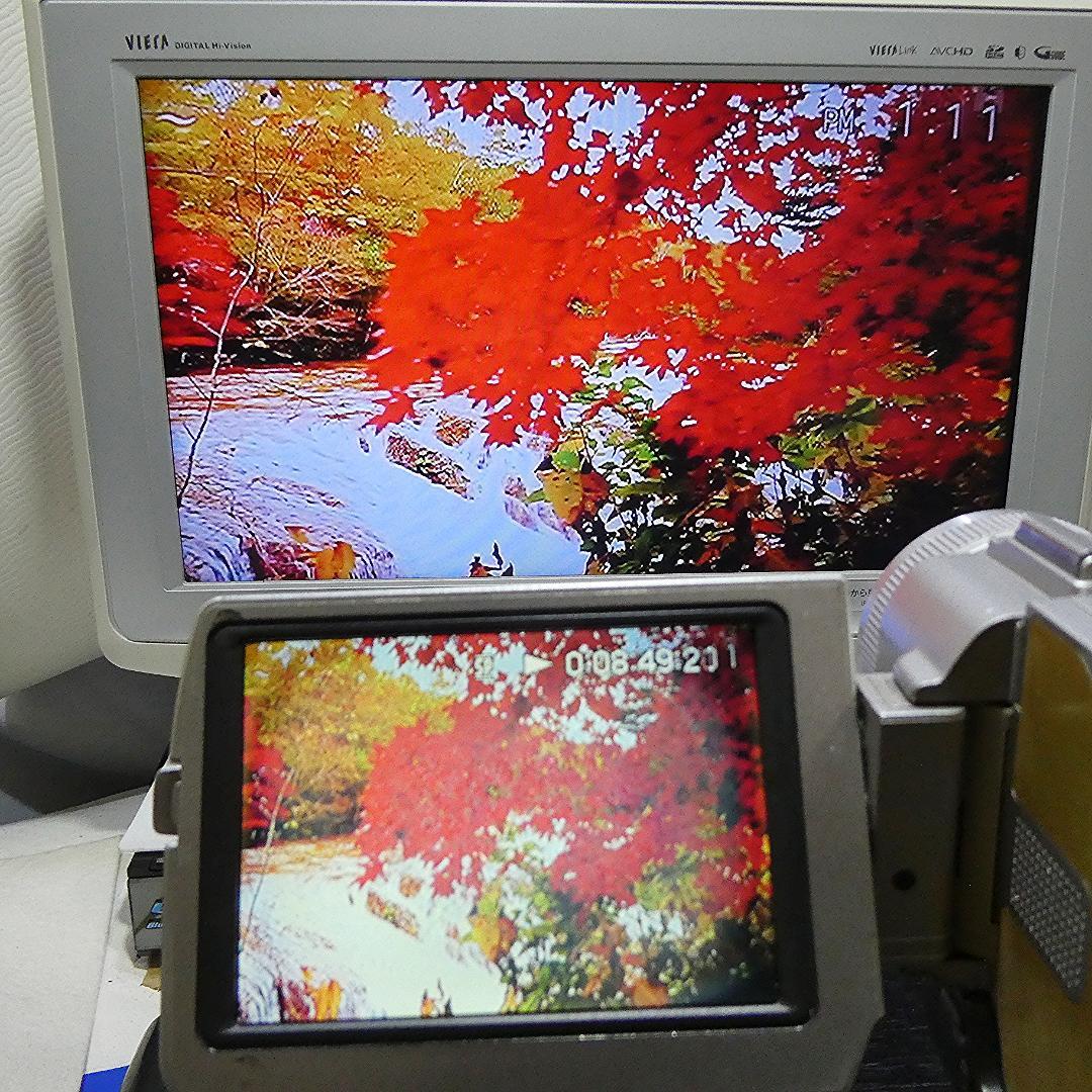 動作品 ソニーDCR-TRV20 MiniDV ビデオカメラDVDダビングに最適