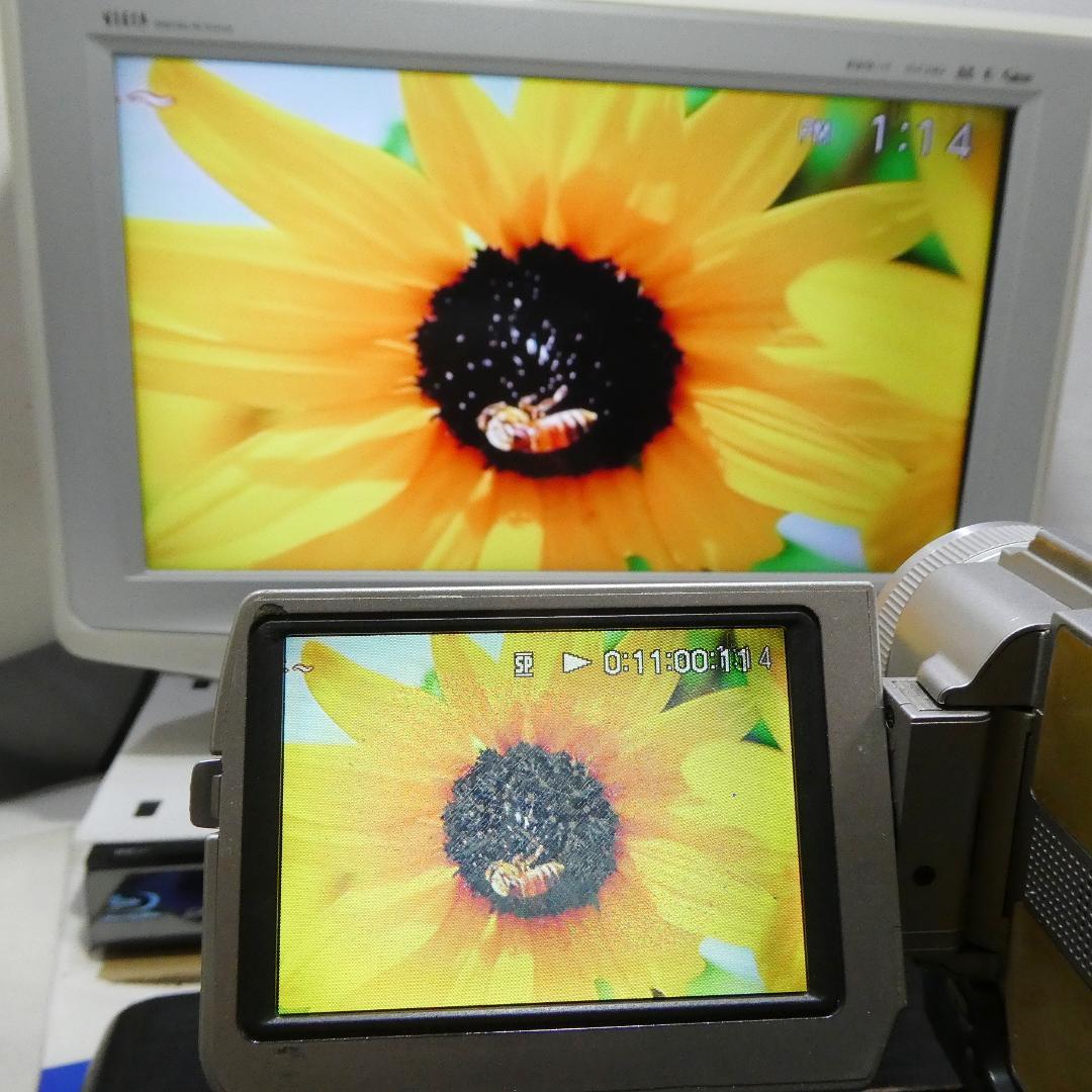動作品 ソニーDCR-TRV20 MiniDV ビデオカメラDVDダビングに最適