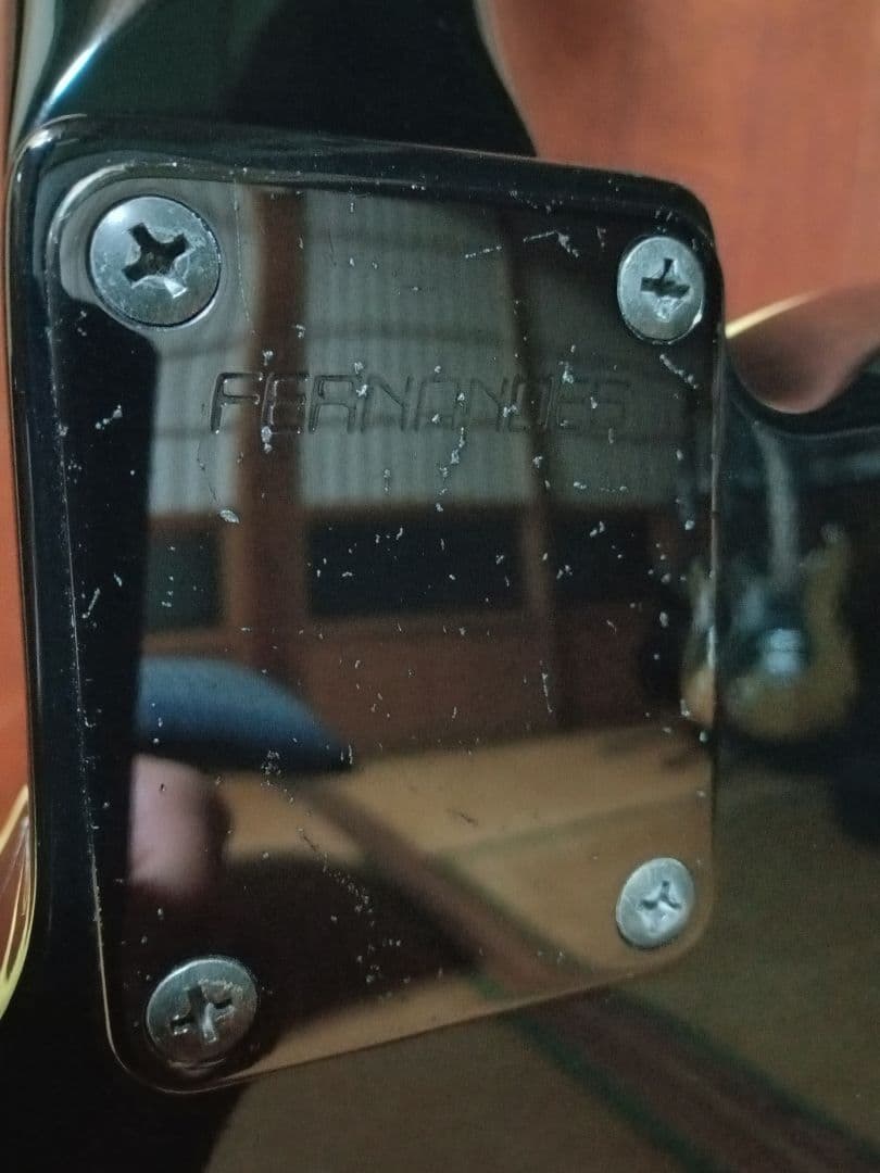 FERNANDES TEJ-70　ジャンク