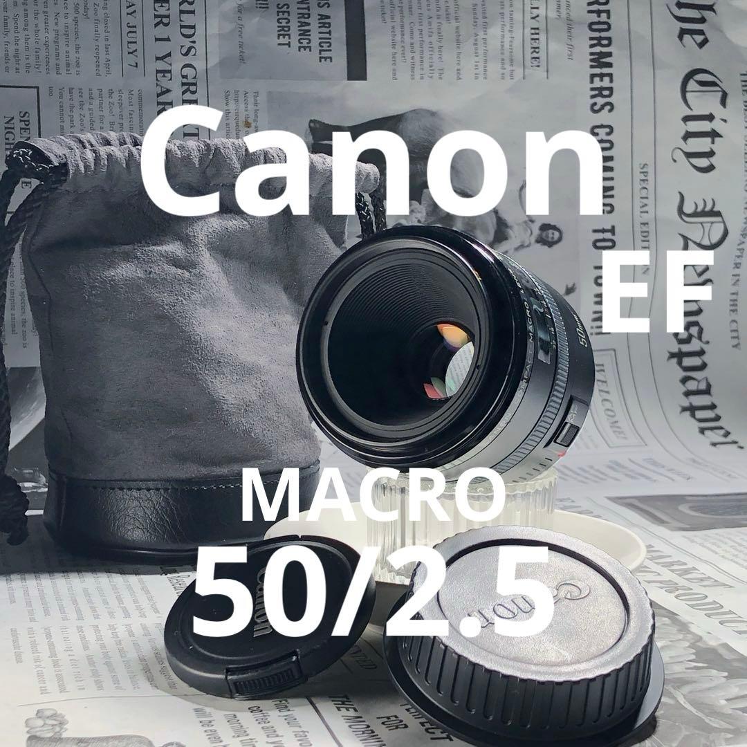 ポーチ付　Canon MACRO 50mm f2.5 EFマウント