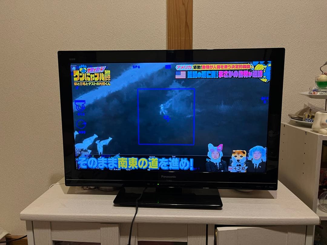 Panasonic VIERA TH-26C5 26インチテレビ