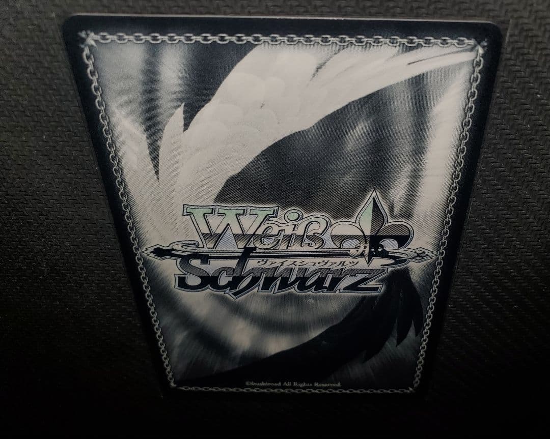 ヴァイス　サマポケ　PR/プロモ　海を見つめる少女しろは　冬の到来しろは&うみ