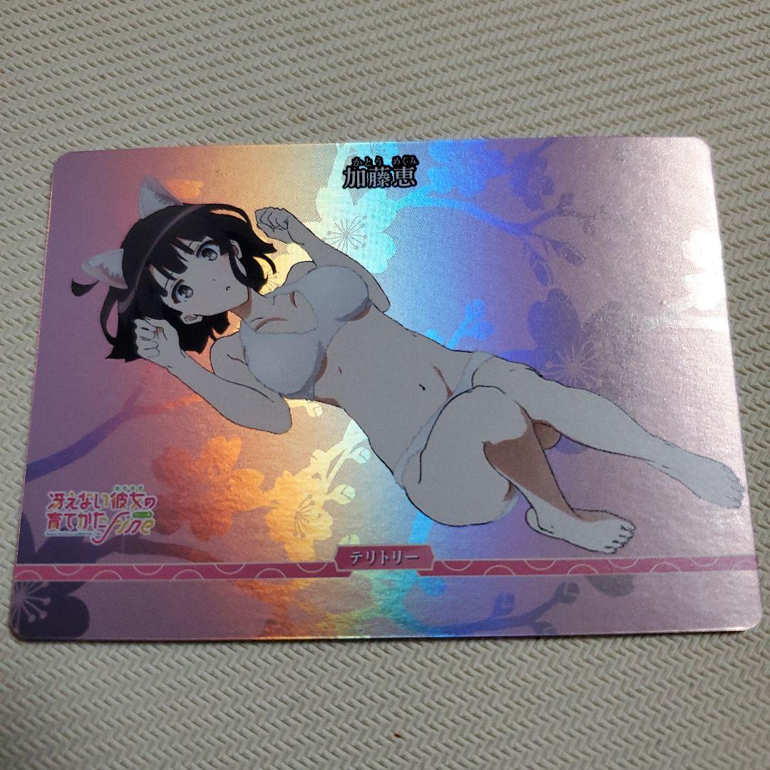 加藤 恵 優勝プロモ VT 変わりゆく関係