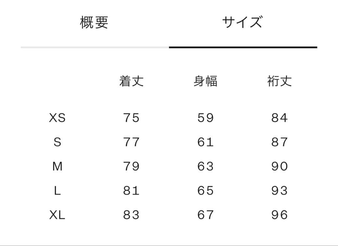 THE NORTH FACE GORE-TEX レトロマウンテンライトジャケット