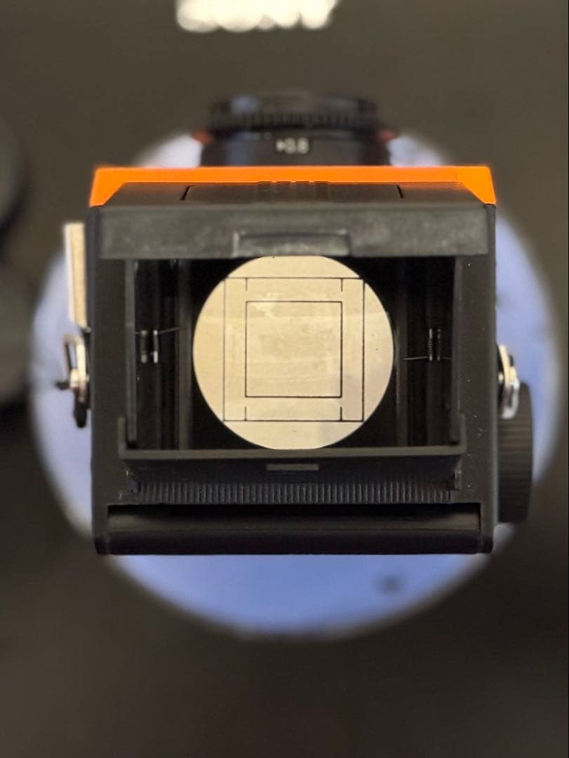 blackbird fly オレンジ｜初期発売品