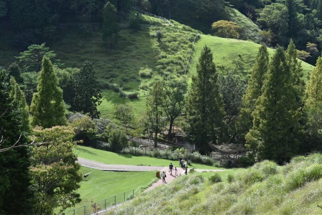 レンズ(ズーム) NIKKOR 55-200mm f/4-5.6G ED VR II