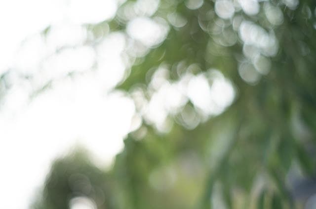 【オールドレンズ】Super Takumar 55mm f1.8 後期