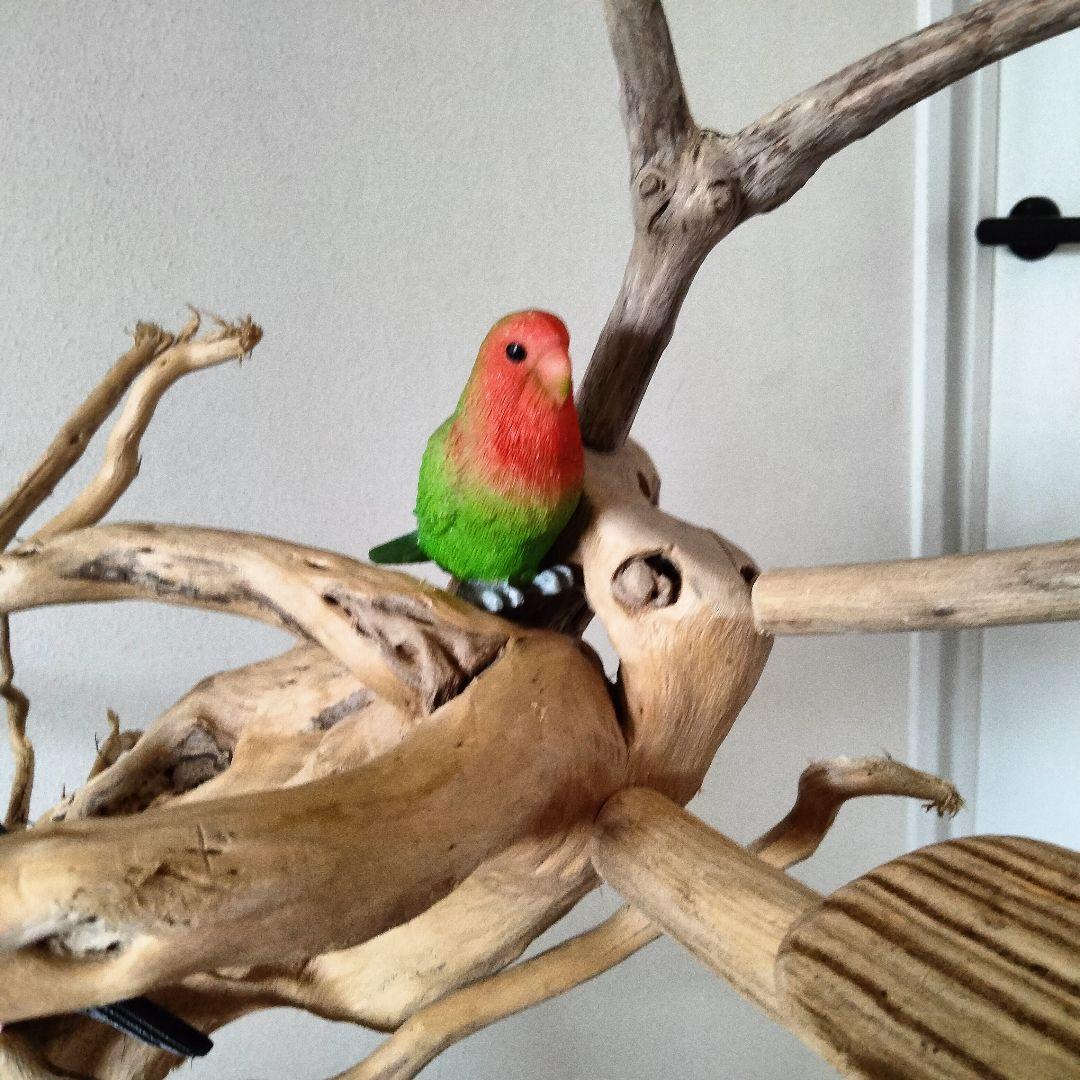 おつぶバードアスレチックジム㊽ 天然木 自然木 流木 止まり木 インコ