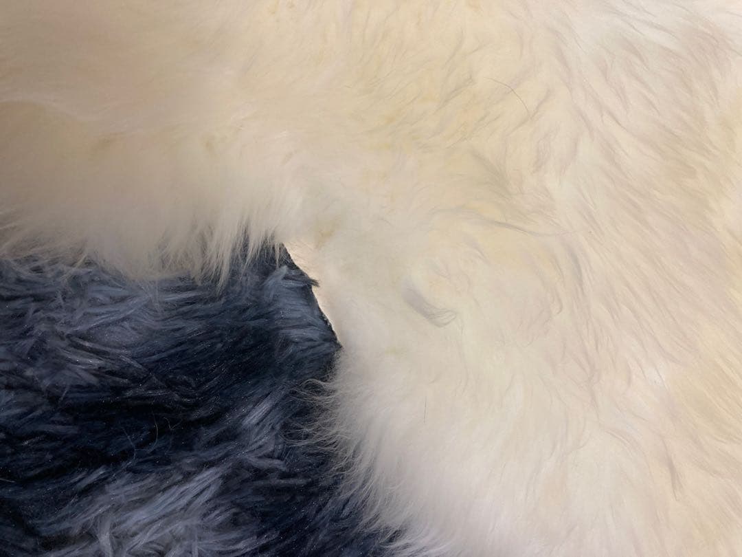 本物ムートンラグ２匹物　羊毛皮　ニュージーランド産　ホワイト