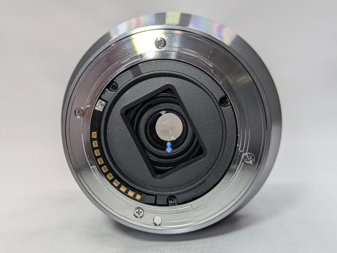 Sony E 18-200mm 3.5-6.3 OSS レンズ #251