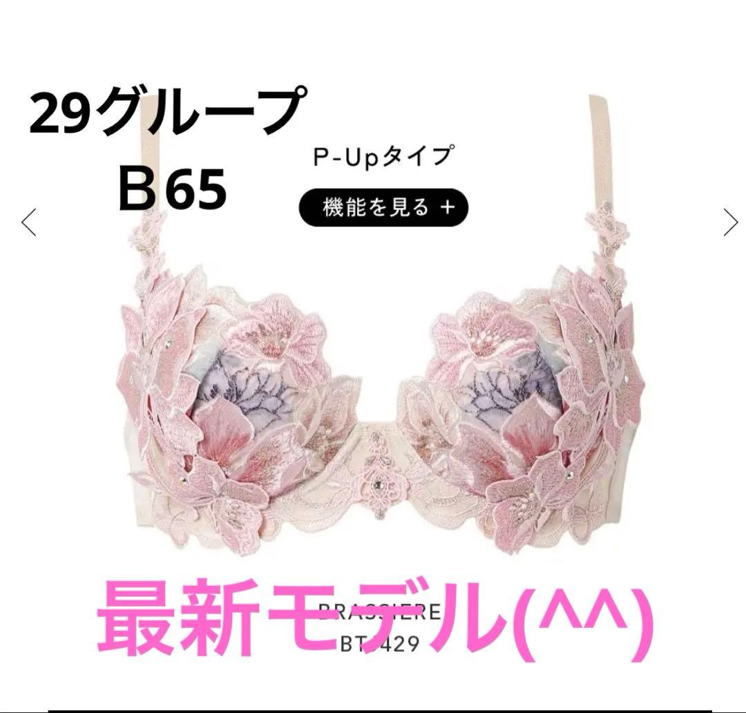 サルート　花柄刺繍ブラジャーショーツセット B65