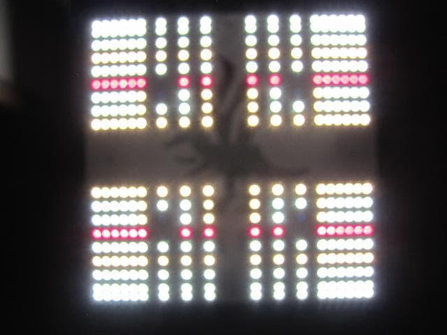 Kaiju Plant 怪獣フレア301 ブラック 120W