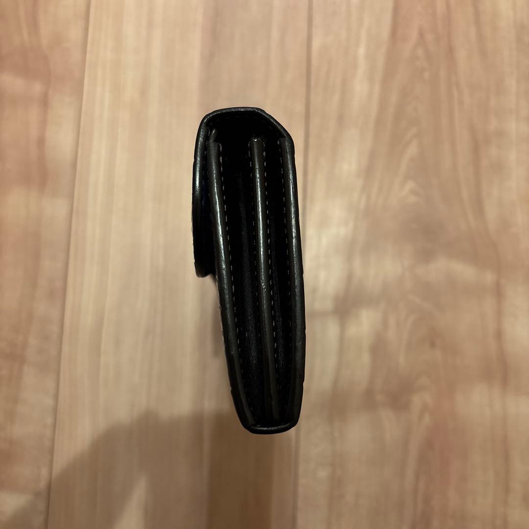 専用　ワイルドスワンズ　ウェイブクロコダイル　ポロサスロイヤルブルーセンターどり