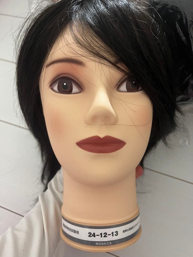 国家試験カットウィッグ10体