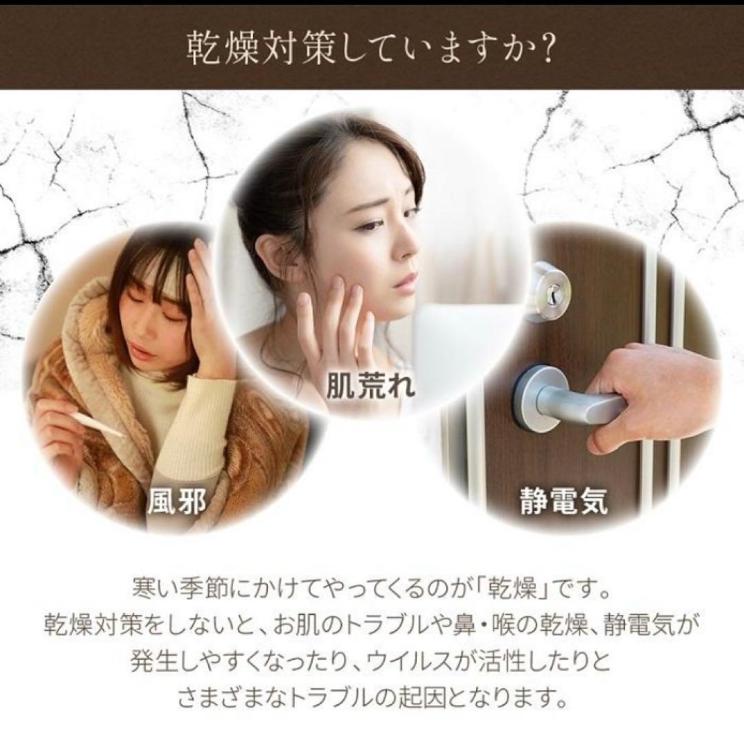 大型加湿器 キワミスト+（プラス） UV除菌次亜塩素酸水対応 ON-Jia03