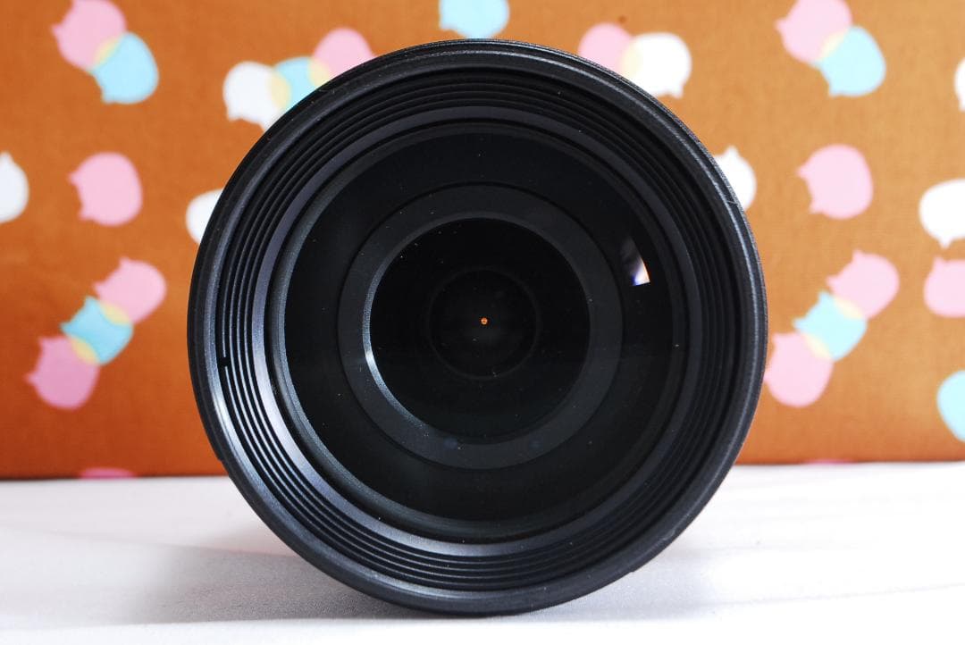 ✨スマホ転送可能✨万能レンズ付き✨Nikon D90 レンズセット