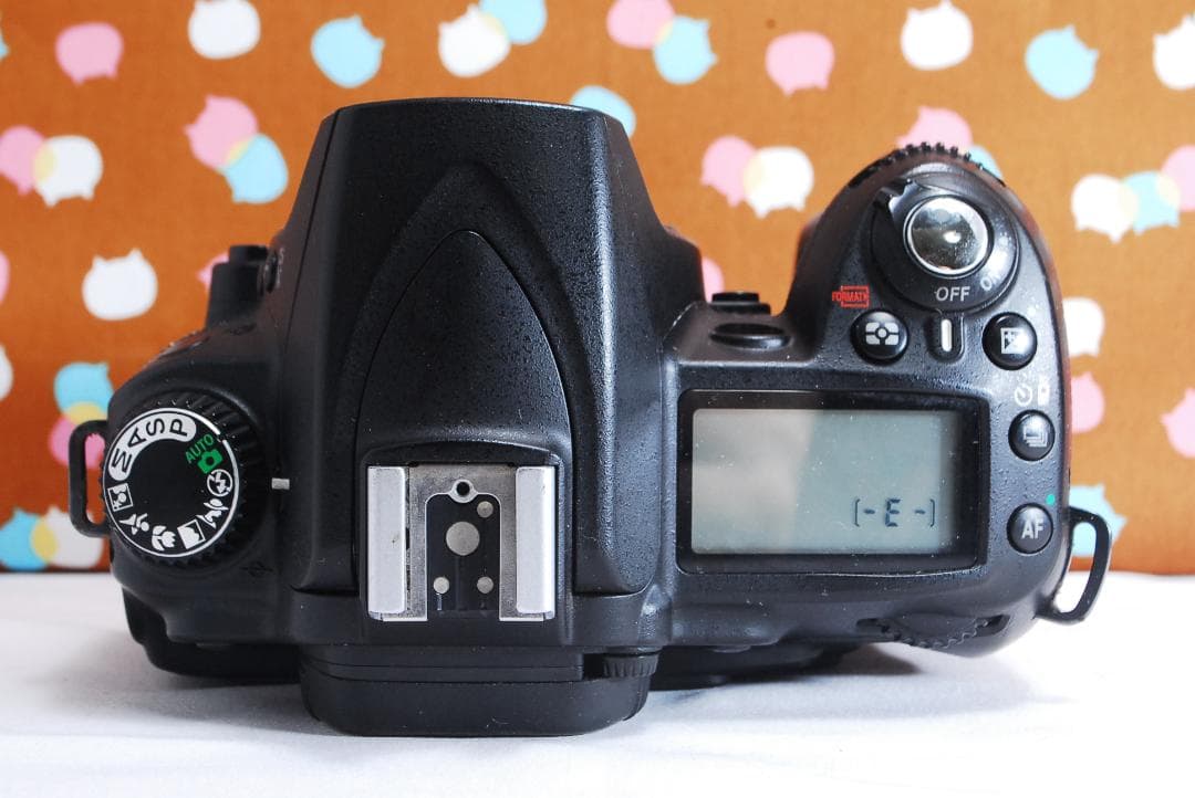 ✨スマホ転送可能✨万能レンズ付き✨Nikon D90 レンズセット