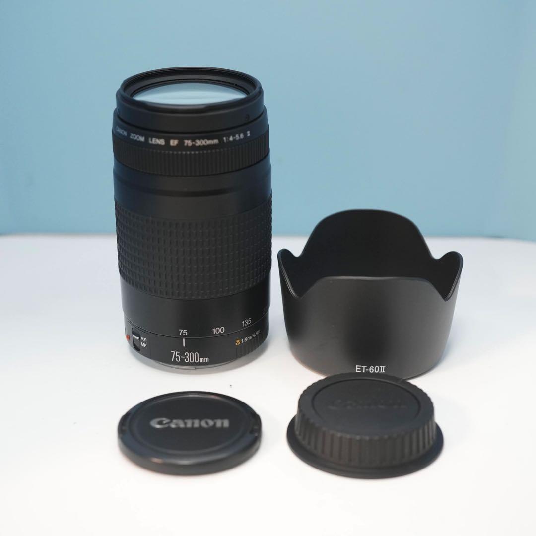 Canon純正 75-300mm 望遠レンズ 美品 a5148