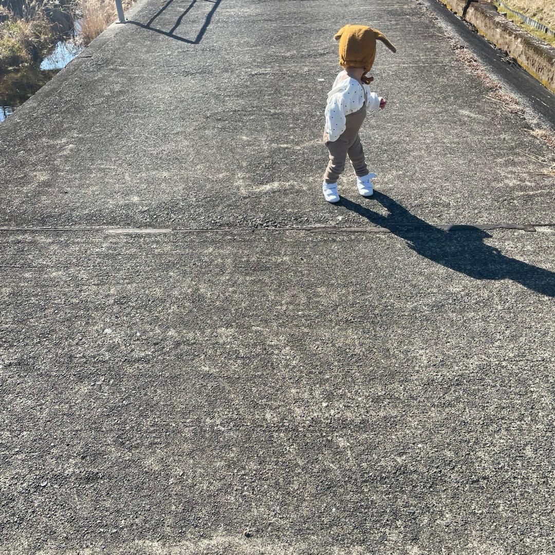 silly silas シリーサイラス　8本セット