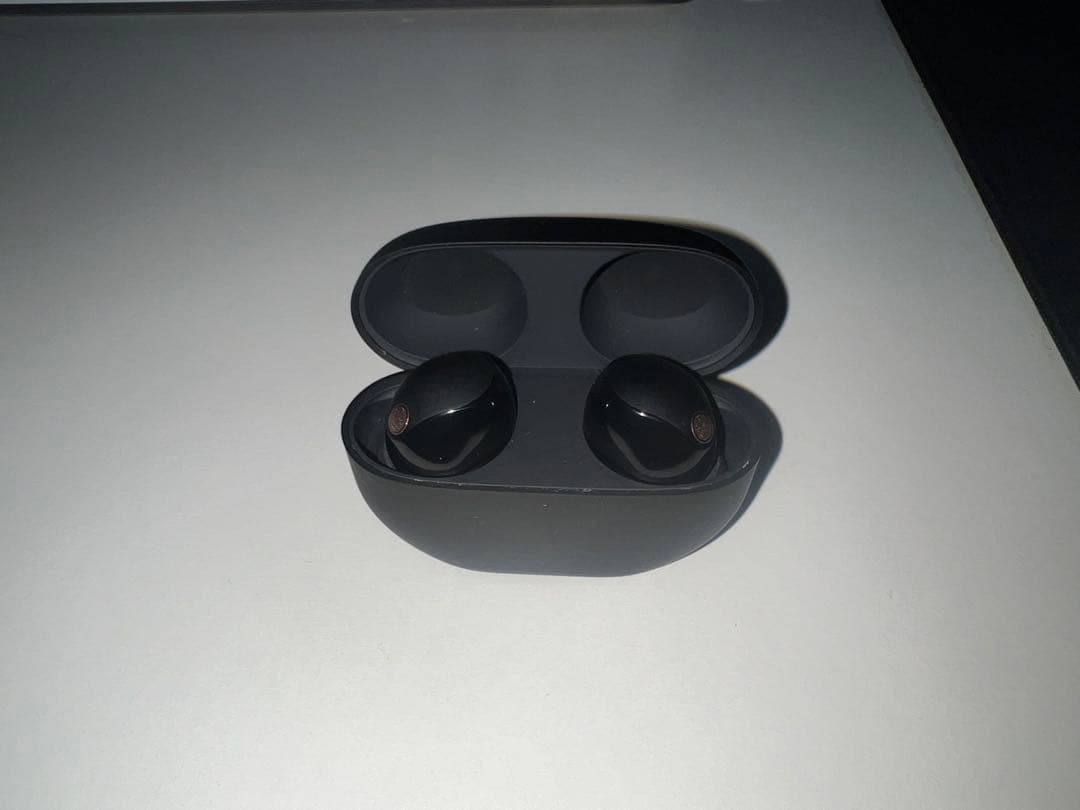 SONY WF-1000XM5（箱無し）（ジャンクの可能性あり）（中古品）