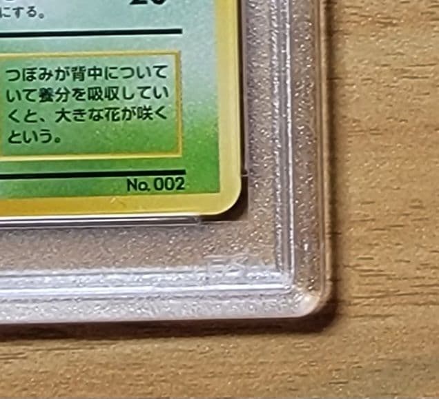 【PSA8 フシギソウ】ポケモンカード 旧裏 初版 マークなし
