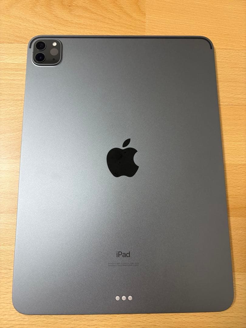 【美品】iPad Pro 11インチ 第二世代 Wi-Fi 256GB 本体＋α