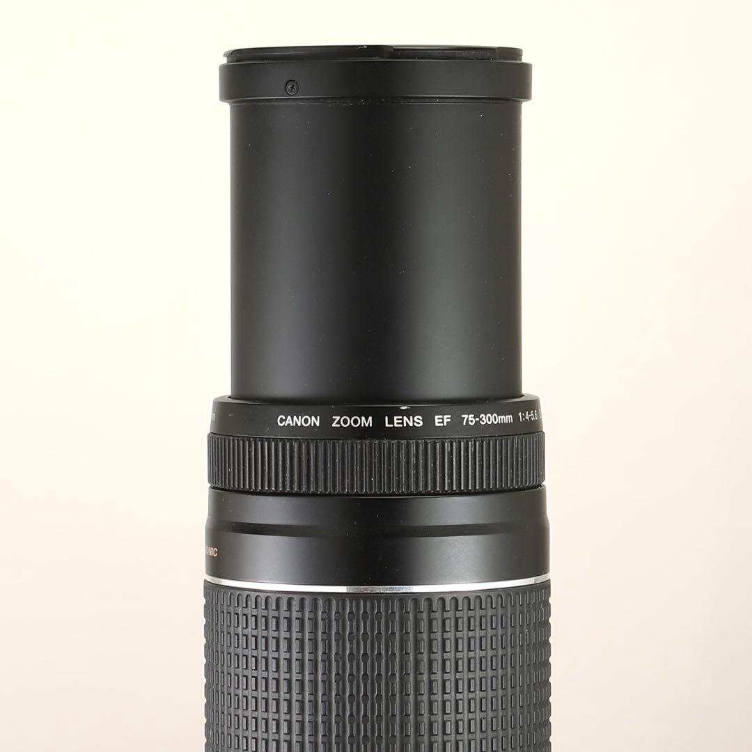 【完動品】Canon EF 75-300mm f/4-5.6 Ⅲ USM