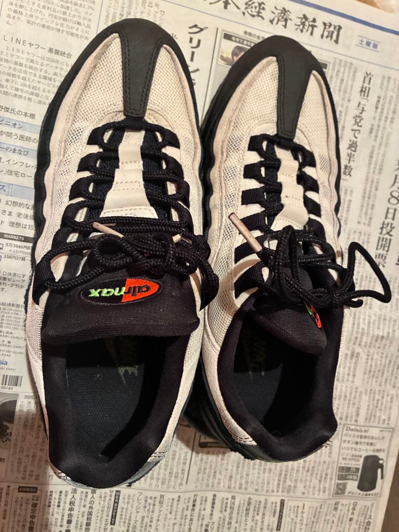 NIKE エアマックス95 Antifreeze 28cm
