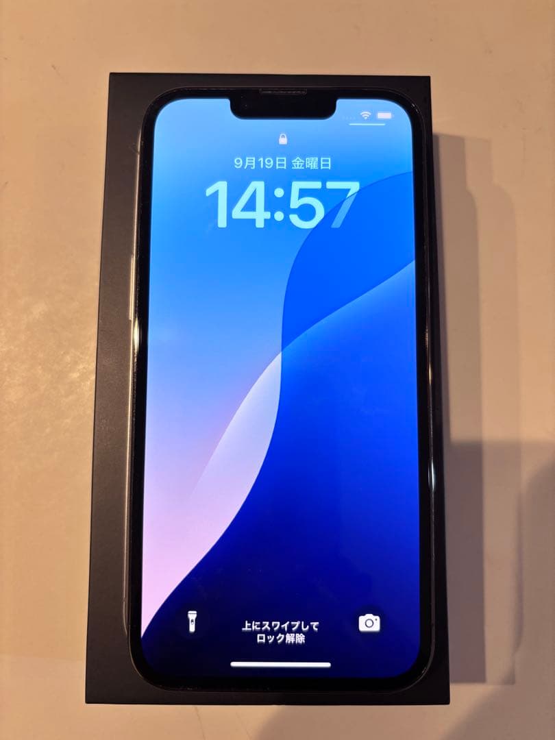 iPhone 13 Pro 256GB グラファイトSIMフリー 本体