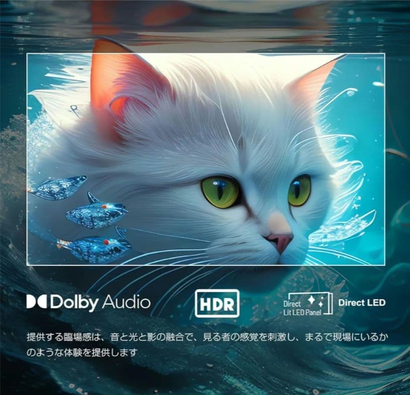 VEZZER　スマートテレビ V24TF1DH 2024年 チューナーレス