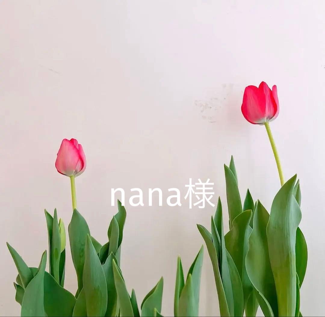 nana　クレンザー業務用　ソリューション