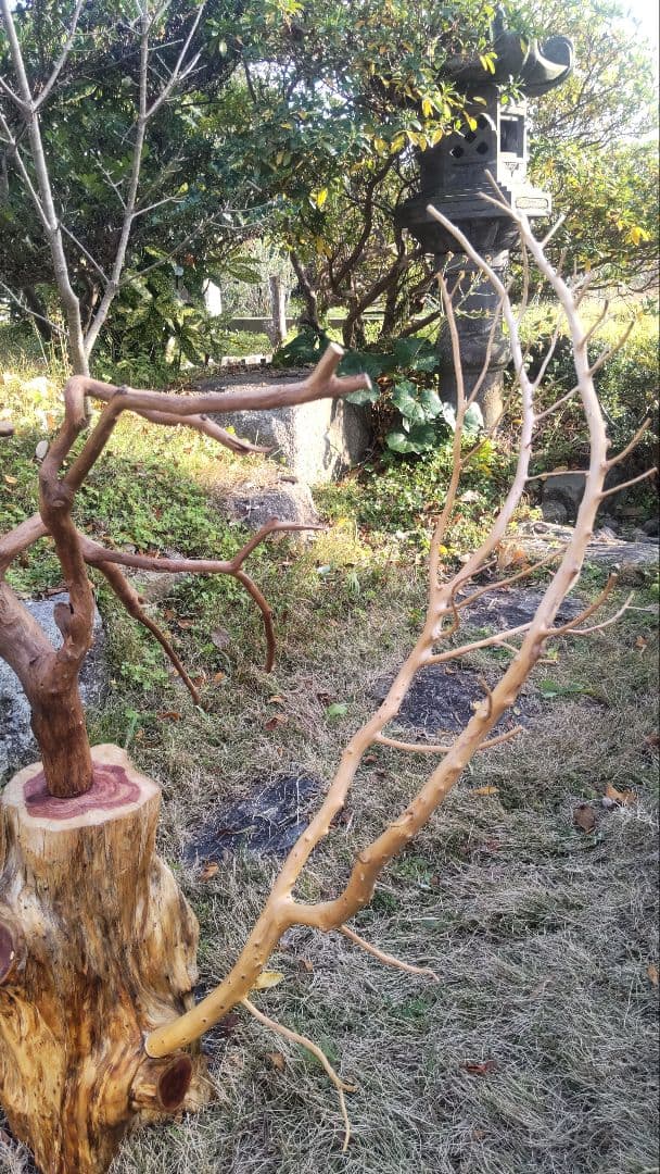 バードアスレチック　鳥用止まり木