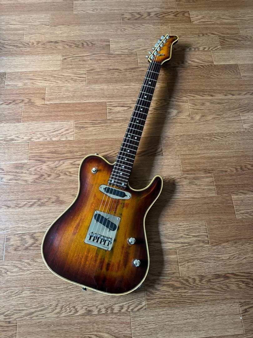 Valley Arts m Series Deluxe TLタイプ