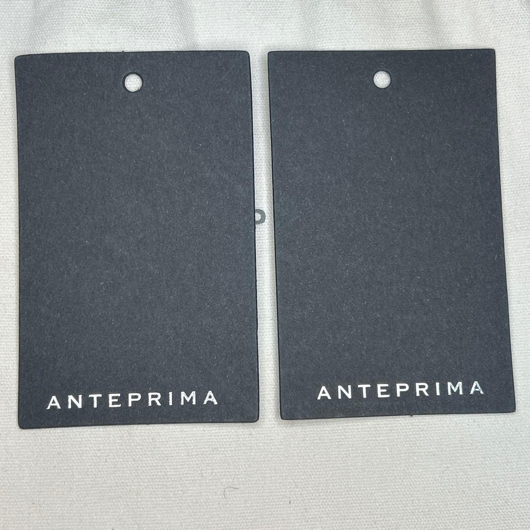 未使用級　ANTEPRIMA ルッケット NERO OPACO 3way