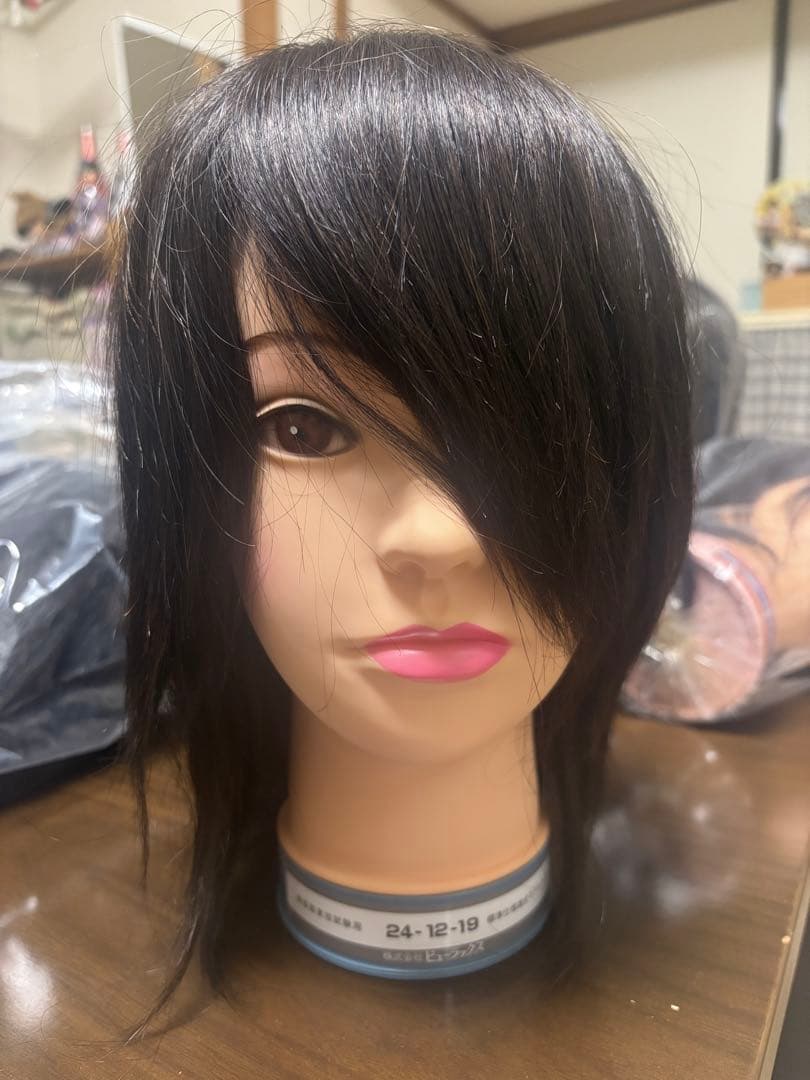 カットマネキン 10体セット （国家試験仕様2体・レイヤー練習用8体）