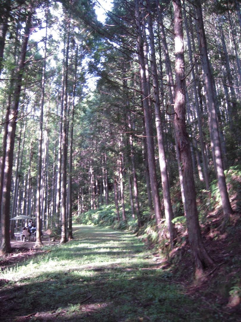 動作確認済み Nikon COOLPIX S600 デジタルカメラ