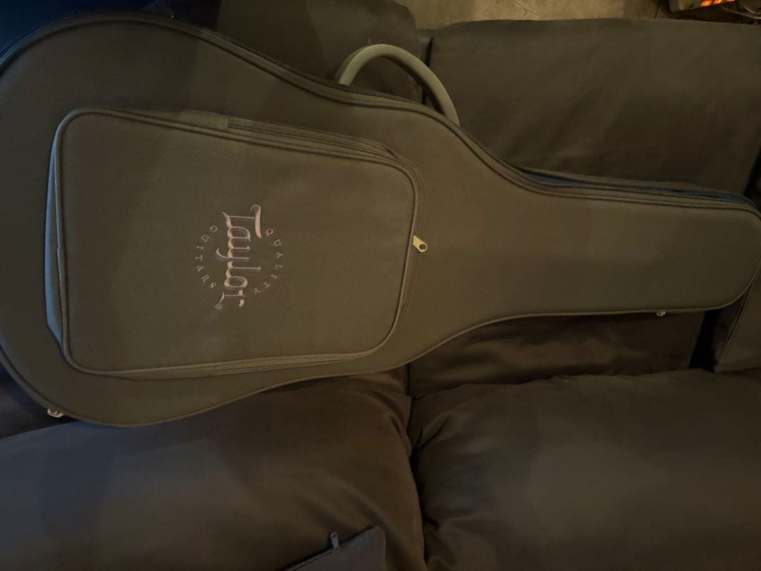 meromu　光栄堂　taylor 314ce Vクラス　日本限定仕様