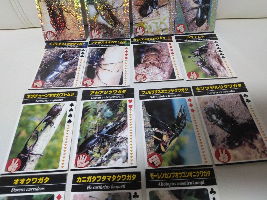 昆虫トレーディングカード 15枚セット